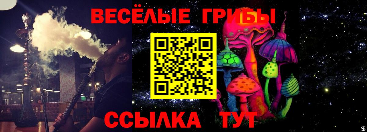 Псилоцибиновые грибы MAGIC MUSHROOMS Советский